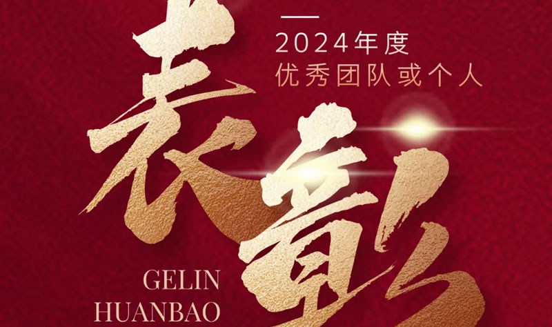 閣林先鋒 榜樣力量 | 2024年度優秀團隊或個人表彰名單