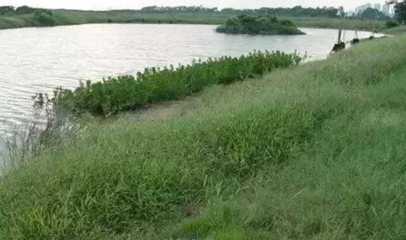 三部門聯合發文推進山水林田湖生態保護修復工程