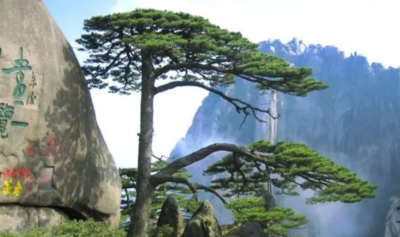 【地方動態(tài)】安徽試點(diǎn)建設(shè)“海綿城市”