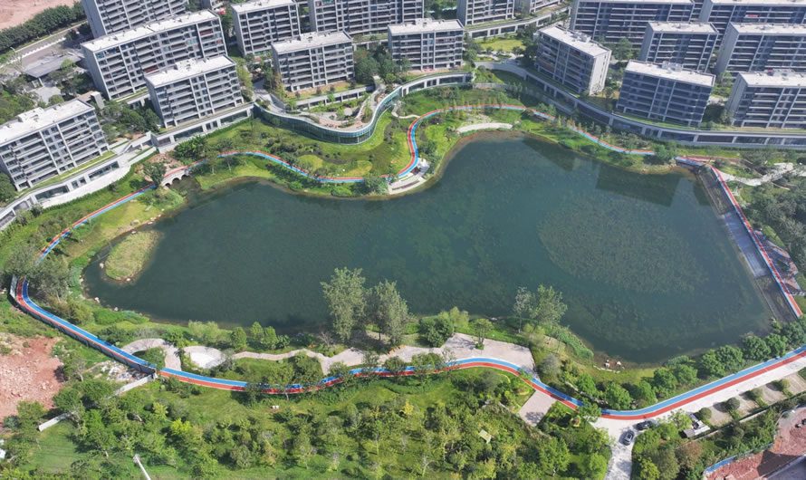 流域水環境低碳治理及水生態修復長效控質技術